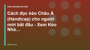 Read more about the article Cách đọc kèo Châu Á (Handicap) cho người mới bắt đầu – Xem Kèo Nhà Cái 88Keonhacai